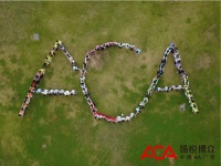 成都营销公司竞争激烈，扬悦博众靠什么突出重围？