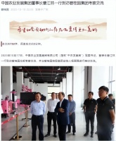 碧桂园大概被逼到了极致
