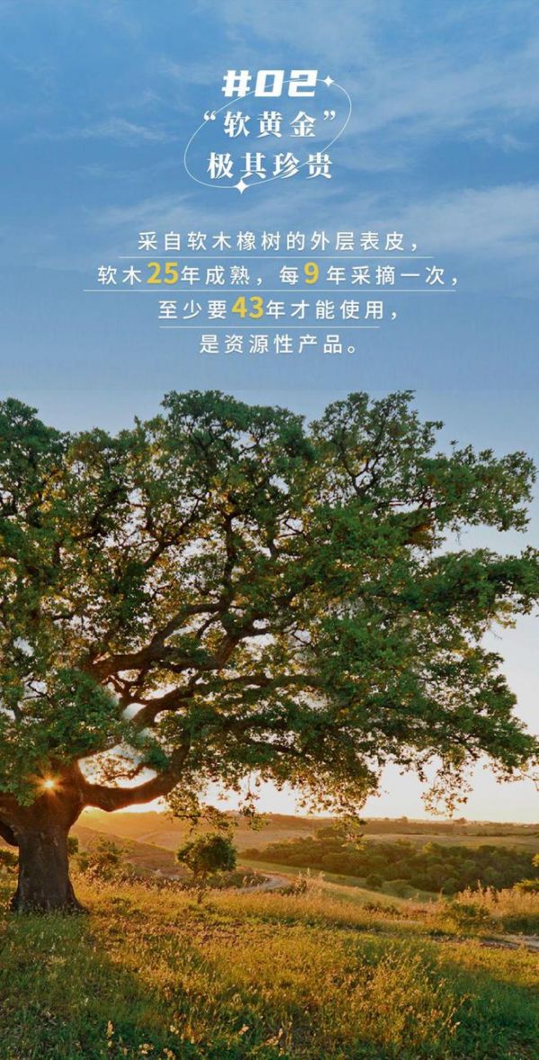 无惧挑剔眼光，装饰材料的天花板！