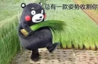 时隔2年,恒大仍在无差别“猎杀” | 315特辑