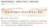 年报延迟刊发并暂停交易，关键时刻！碧桂园杨惠妍再发声：一定能够迎来行业春天