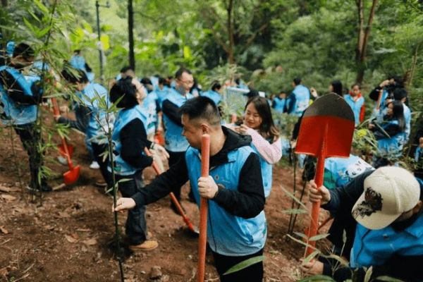 科技赋能动物保护，美的空调花样庆祝认养国宝周年