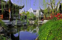 为美好而来丨南京文脉,浸入时光
