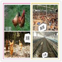 &ldquo;隐身两年&rdquo;终于面世!三塘板块这个&ldquo;捂盘王&rdquo;还香吗?