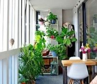 大业锦绣阳光城:做到这7点,才叫幸福晚年