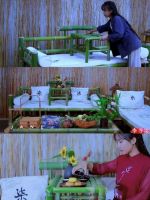 “李子柒” 的理想诗意生活,离我们有多远?