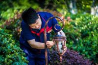 为美好而来|新江北孔雀城 营造舒心和暖心美好生活