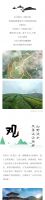吃茶记 | 古寨、花海、茶山、美食,和我们,这是春天