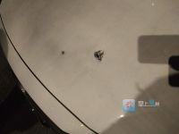 墙皮脱落,车前引擎盖被砸两个窟窿!该谁负责?