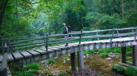 周末森林公园+天门山玻璃栈道两日游