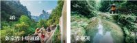 张家界散客自助游行程