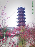 春到濮水 美在小镇,濮小君邀您拍照赢200元储值卡啦~