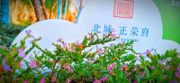 有一种热,叫正荣热|北城正荣府告诉你什么才是硬核红盘力