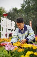 为美好而来,孔雀城真诚之心打造理想宜居,幸福物业营造和谐邻里