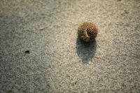 注意:这场&ldquo;春雪&rdquo;即将到来!这类人出门要注意防护!