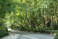 注意:这场&ldquo;春雪&rdquo;即将到来!这类人出门要注意防护!