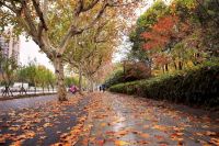 注意:这场&ldquo;春雪&rdquo;即将到来!这类人出门要注意防护!