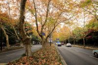 注意:这场&ldquo;春雪&rdquo;即将到来!这类人出门要注意防护!