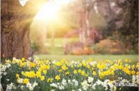 宜养佳境,红星瑞马世家让家有&ldquo;医&rdquo;靠