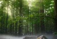 ​久违的春日芳菲,长虹公园解除&ldquo;封印&rdquo;!争青正当时