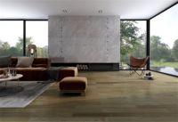 新品上市 | 品质至上，菲林格尔携新品强势来袭！