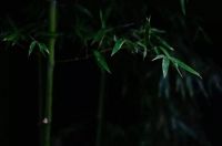 新东方二代丨东方演绎,时尚生活