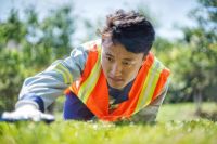 为美好而来!空港新都孔雀城 规范管理专业服务