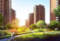 这个快速新兴起的新区有哪些值得大家期待的楼盘?