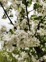 3次降雨正在路上!杭城本周的&ldquo;多云到阴&rdquo;很珍贵