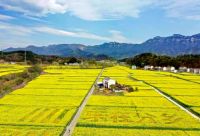 一大波优惠来袭!宜昌20条旅游线路等你来打卡!