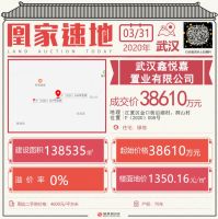 房企拿地热情不减,武汉重启首拍揽金106.96亿