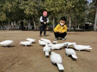 张家口一公园一广场开放!婚检免费了!