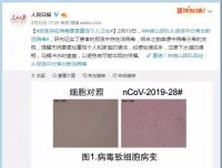 惠达卫浴直播火爆，智能马桶需求正迎来大爆发