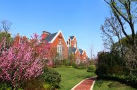 房价贵的小区,业主素质就一定高吗?