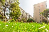 楼盘风景丨面向小区,春暖花开