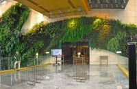 在武汉酒店装修设计中运用植物墙的优势|水木源创设计