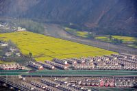 【决战决胜脱贫攻坚看陇南】油菜花开了 坪垭群众笑了