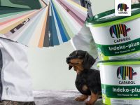 德爱威功能涂料诠释新风尚——五星级的家，德爱威的漆