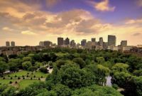 院子里的春天,美得像一幅画