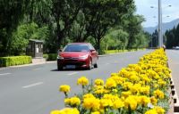 举办COP15和建设国家植物博物馆 有了最新消息