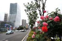 举办COP15和建设国家植物博物馆 有了最新消息