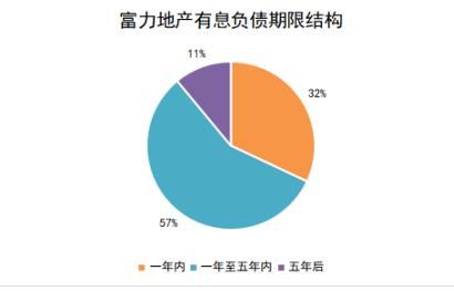 富力地产降负债效果显现，全年股息率高达14.4%