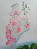 家门口的&ldquo;荷塘月色&rdquo;!江干8个街道都要打造&ldquo;美丽池塘&rdquo;