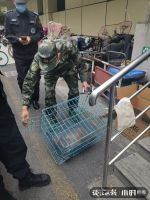 &ldquo;杭州生态真好,马路上竟有小鹿散步!&rdquo;今天这幕刷屏,真相是&hellip;