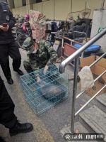 &ldquo;杭州生态真好,马路上竟有小鹿散步!&rdquo;今天这幕刷屏,真相是&hellip;