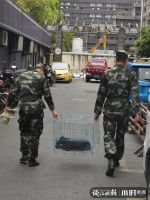 &ldquo;杭州生态真好,马路上竟有小鹿散步!&rdquo;今天这幕刷屏,真相是&hellip;