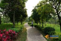 3年投入超25亿 厚街将打造&ldquo;公园城市&rdquo;新典范