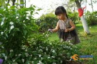 3年投入超25亿 厚街将打造&ldquo;公园城市&rdquo;新典范