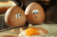 万万没想到 0元认筹还集赞送鸡蛋