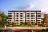 等不到疫情结束了,抢房潮已经按下快进键